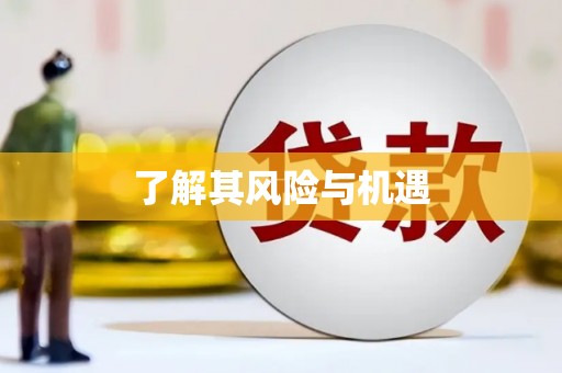 宿迁了解其风险与机遇