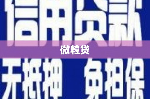 宿迁微粒贷