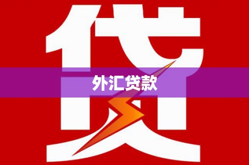 宿迁外汇贷款