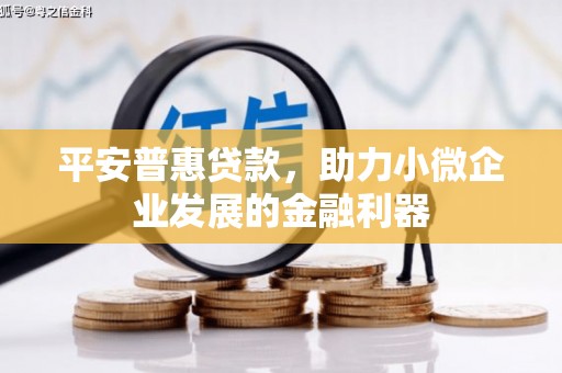 宿迁平安普惠贷款，助力小微企业发展的金融利器