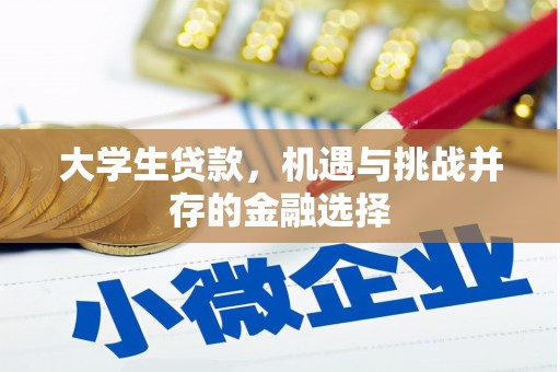 宿迁大学生贷款，机遇与挑战并存的金融选择