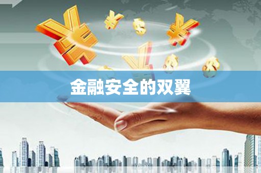 宿迁金融安全的双翼
