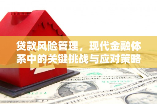 宿迁贷款风险管理，现代金融体系中的关键挑战与应对策略