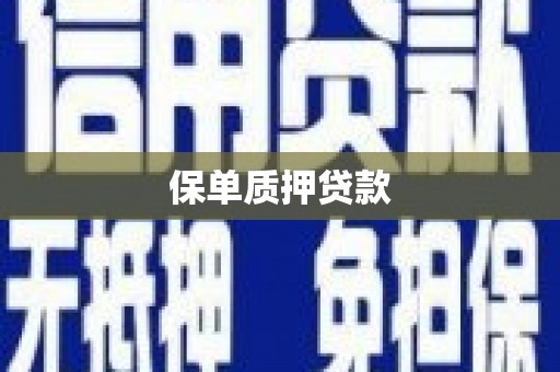 宿迁保单质押贷款