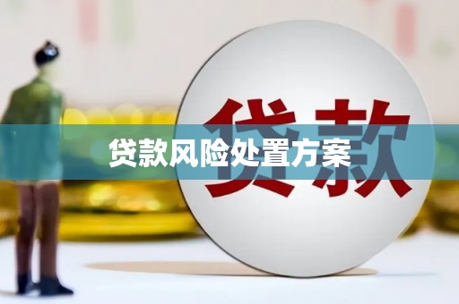宿迁贷款风险处置方案