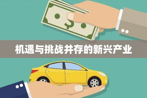 宿迁机遇与挑战并存的新兴产业