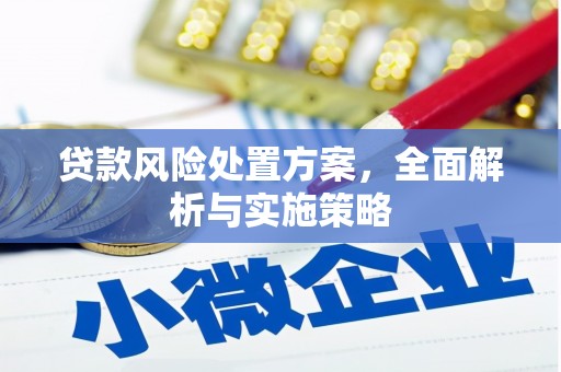 宿迁贷款风险处置方案，全面解析与实施策略