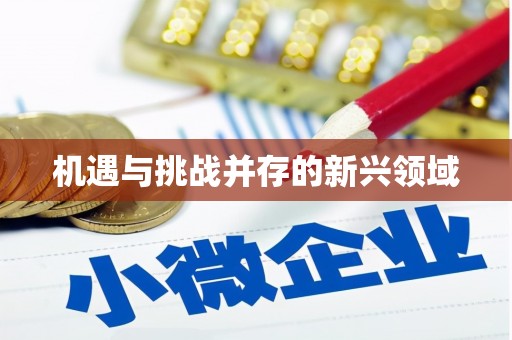 宿迁机遇与挑战并存的新兴领域