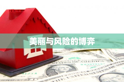 宿迁美丽与风险的博弈